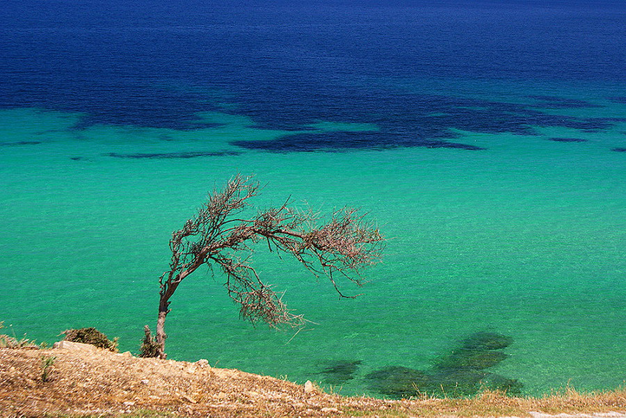  Trani Ammouda Livrohio Plaža 